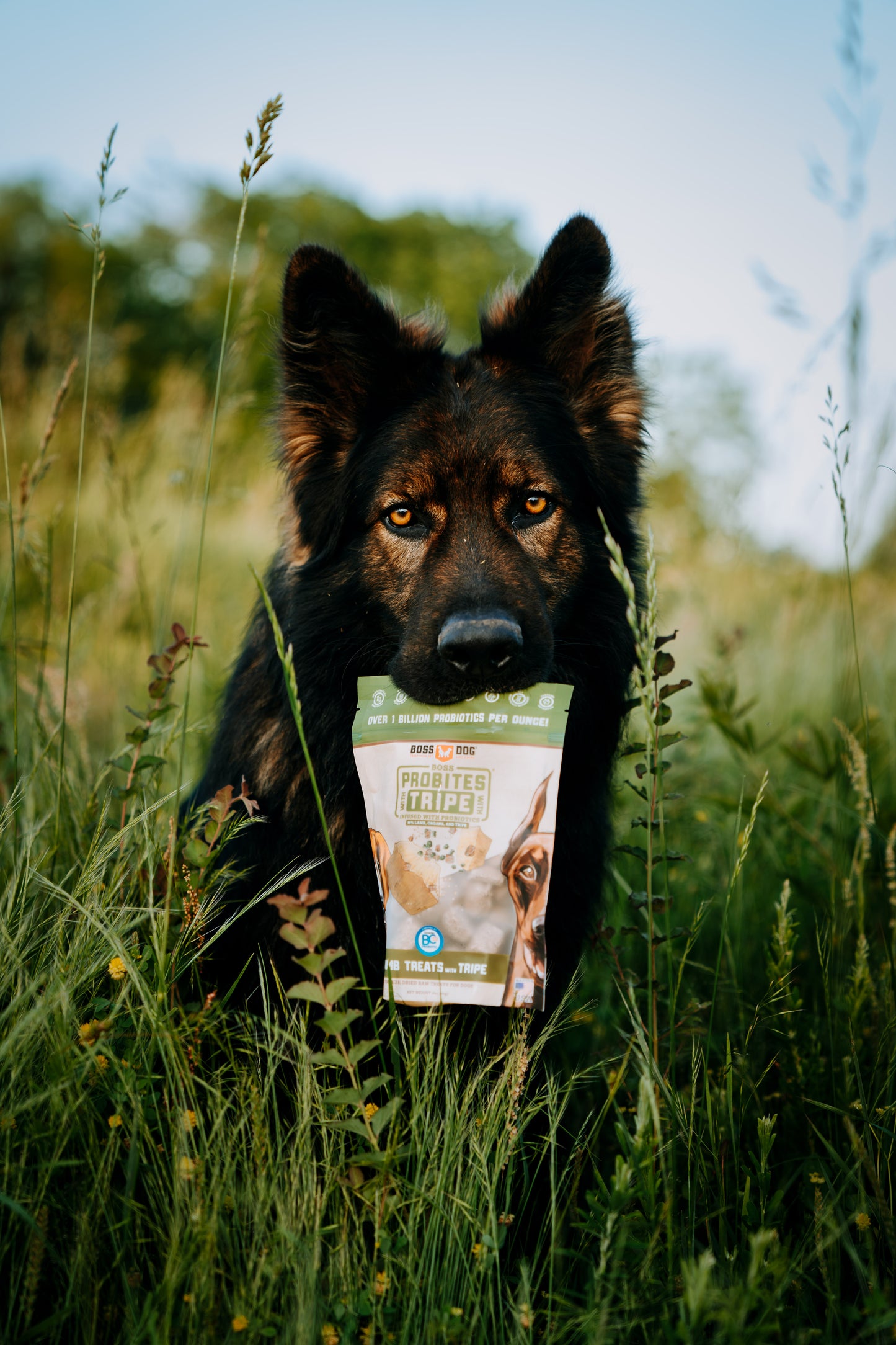Probites Tripe Treats w/ Probiotics