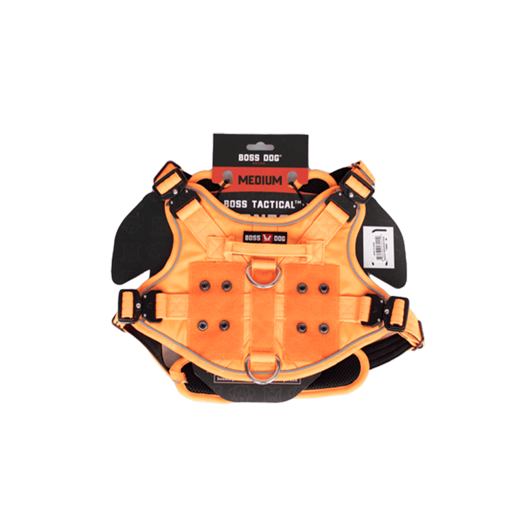 ProSeries™ Harness - Medium