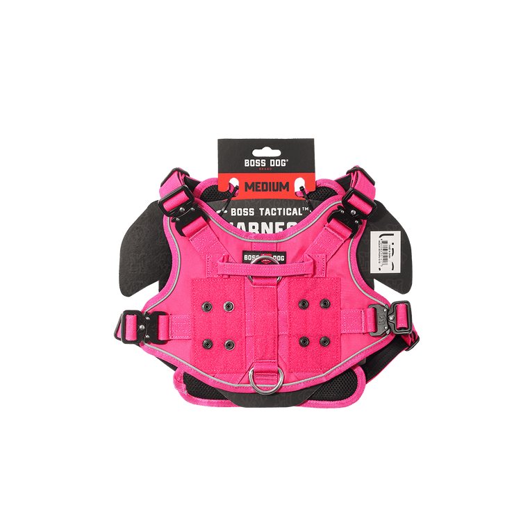 ProSeries™ Harness - Medium