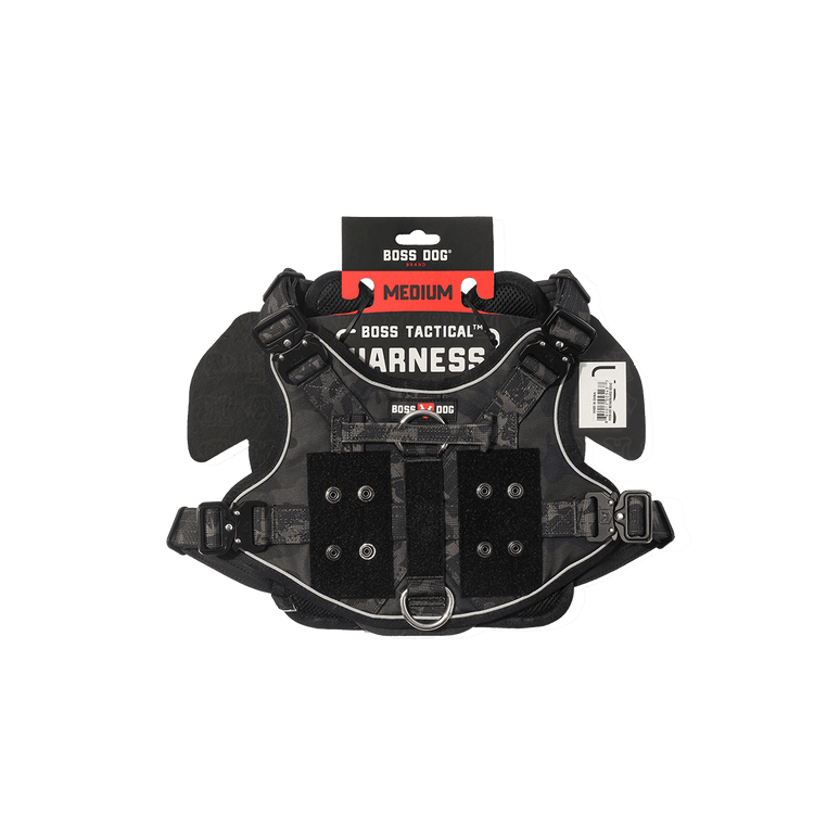 ProSeries™ Harness - Medium