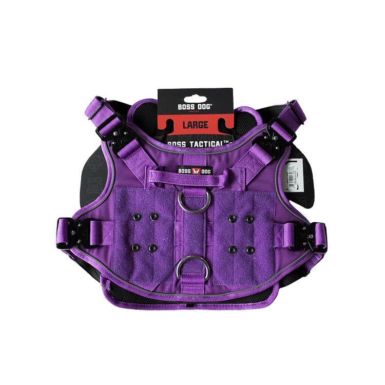 ProSeries™ Harness - Large