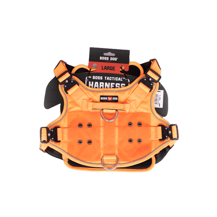 ProSeries™ Harness - Large