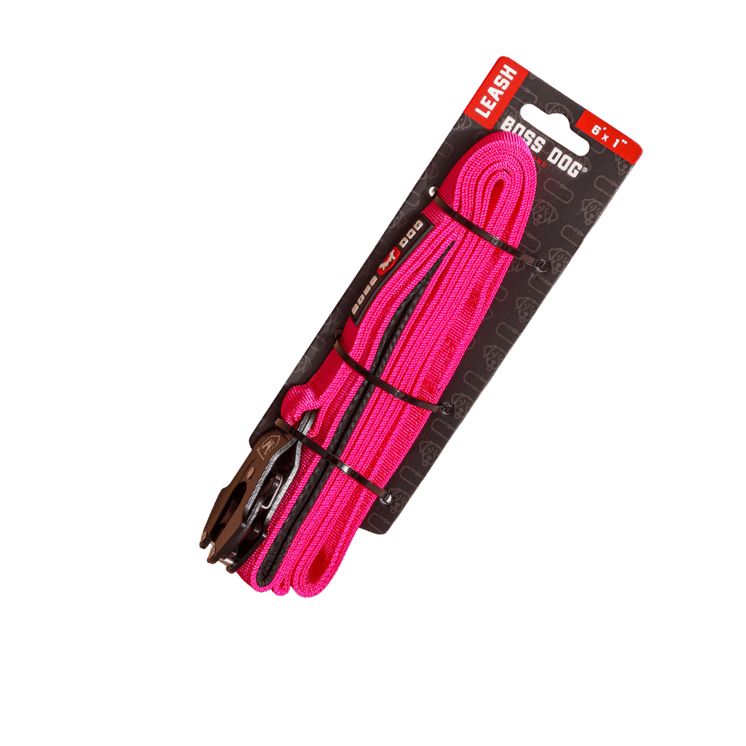 Unbreakable Leash
