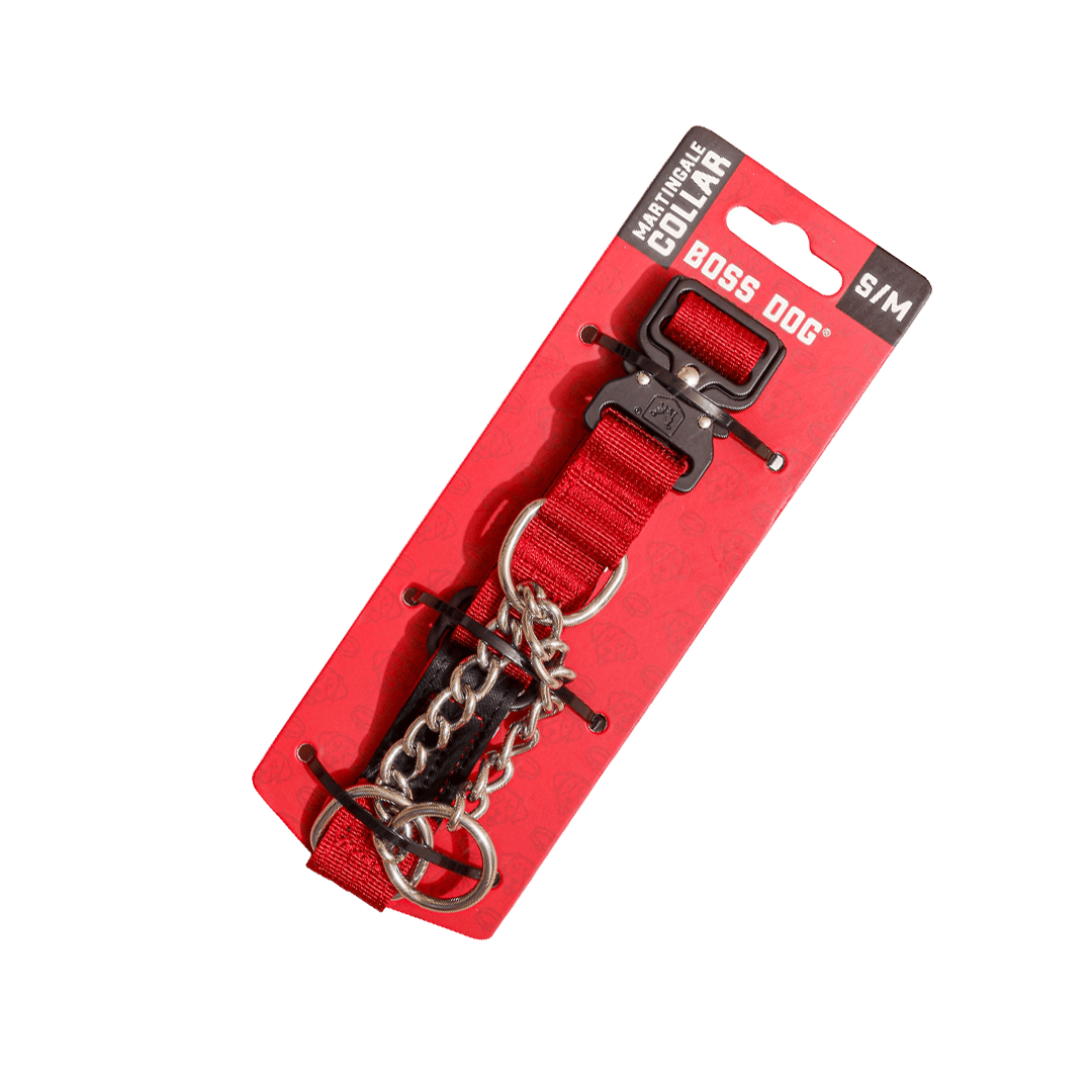Unbreakable Martingale Collar