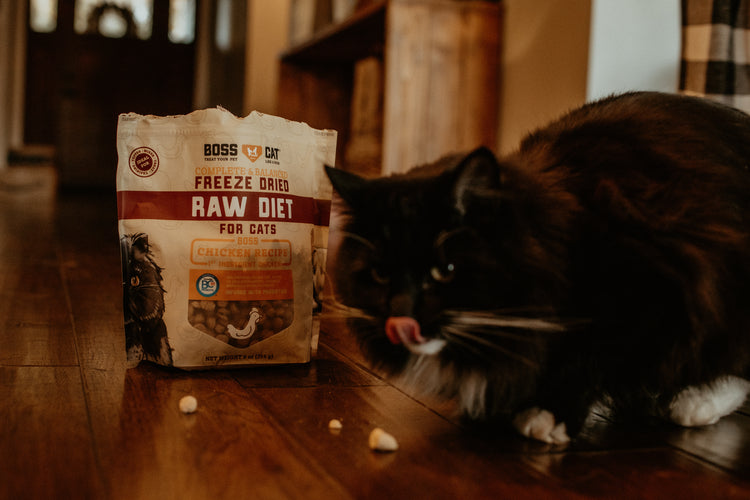 Freeze Dried Cat Food & Topper w/ Probiotics