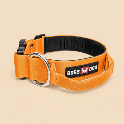 ProSeries™ Collar