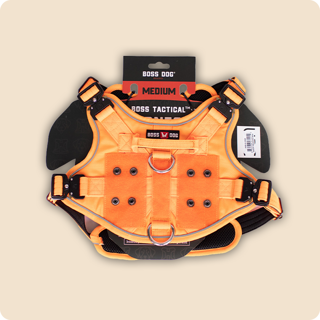 Unbreakable Harness