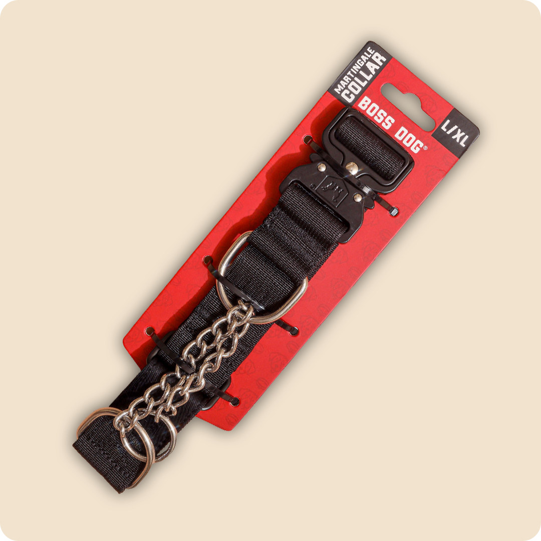 Unbreakable Martingale Collar