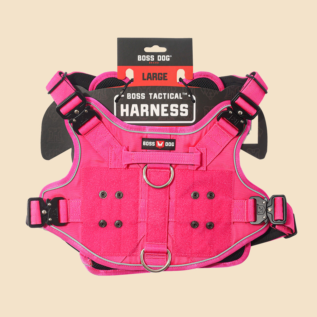 Unbreakable Harness