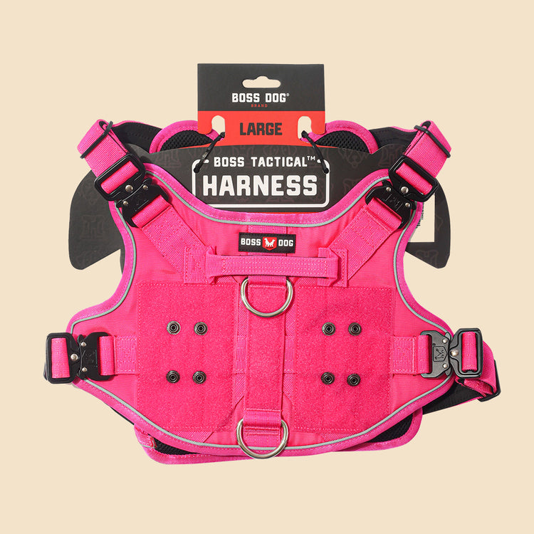 Unbreakable Harness