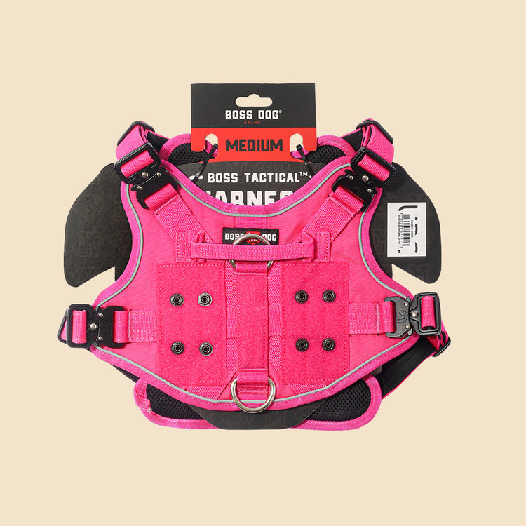 Unbreakable Harness