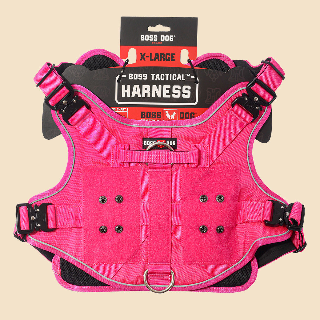 Unbreakable Harness