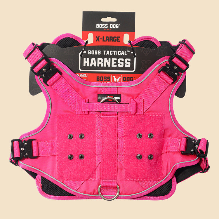 Unbreakable Harness