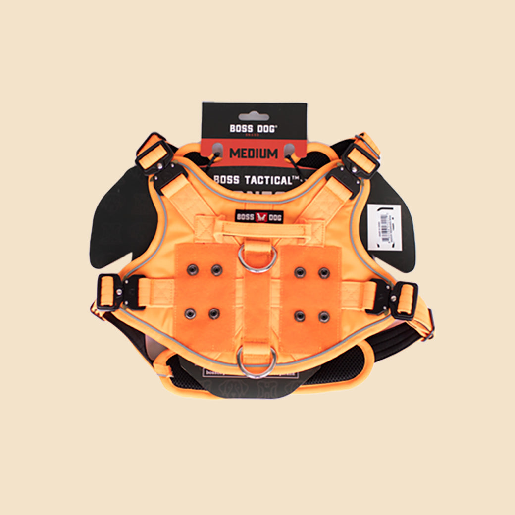 Unbreakable Harness