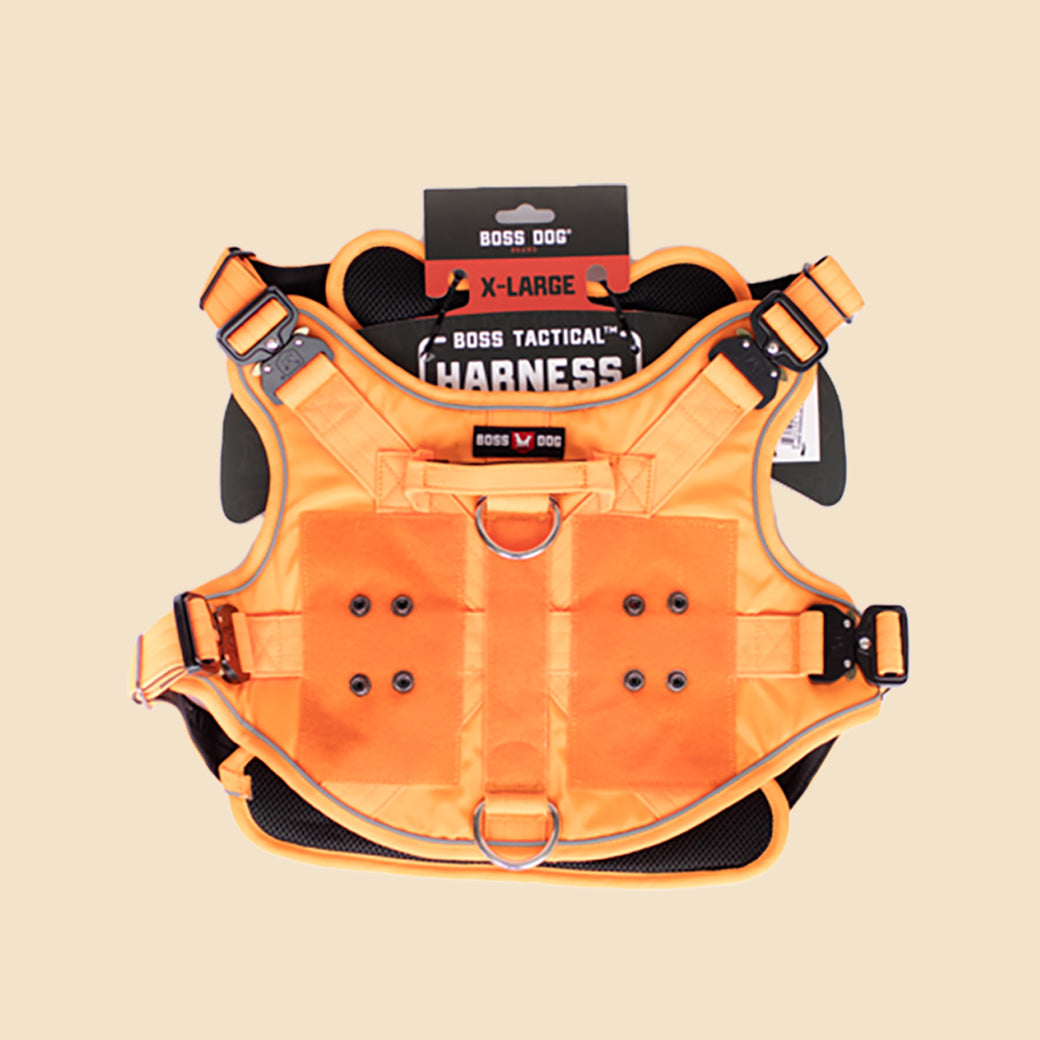 Unbreakable Harness
