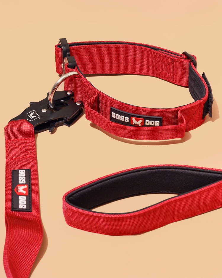 Unbreakable Collar