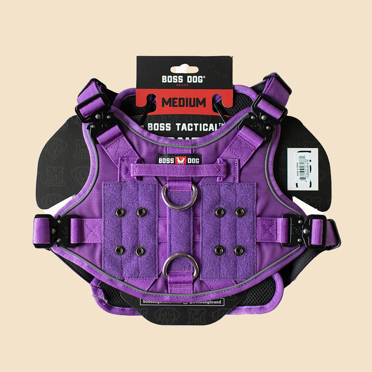 ProSeries™ Harness - Medium