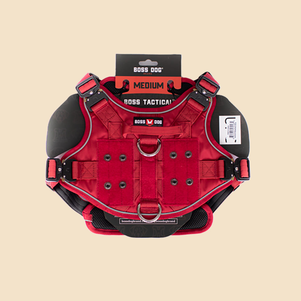 Unbreakable Harness