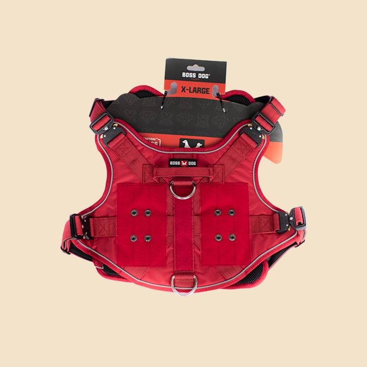 Unbreakable Harness