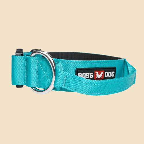 ProSeries™ Collar