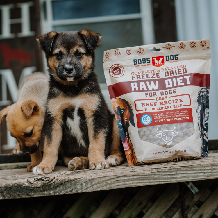 Freeze Dried Dog Food & Topper w/ Probiotics