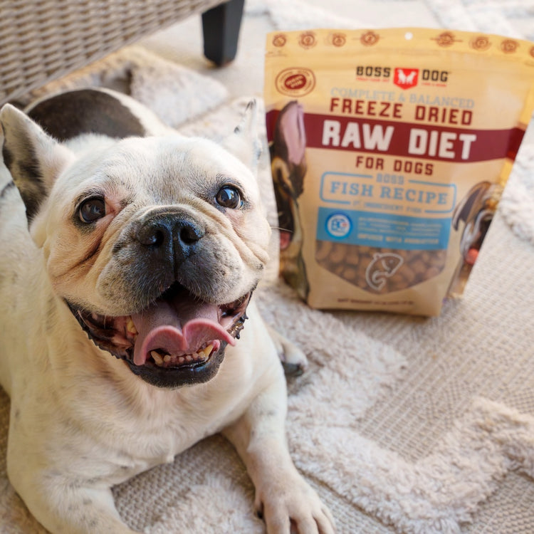 Freeze Dried Dog Food & Topper w/ Probiotics