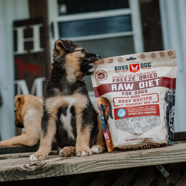 Freeze Dried Dog Food & Topper w/ Probiotics