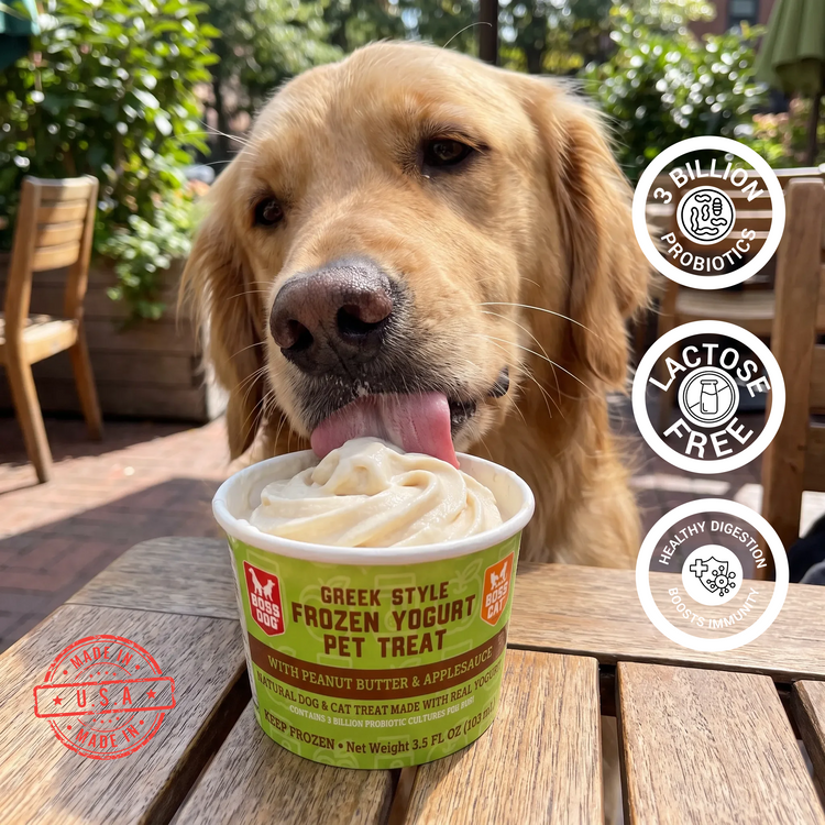 Frozen Greek Yogurt