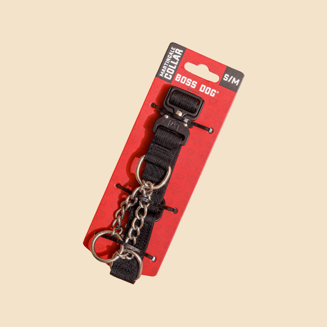 Unbreakable Martingale Collar