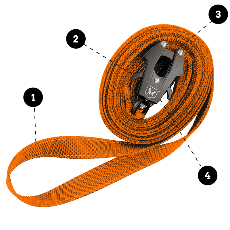 Unbreakable Leash image with numbered features