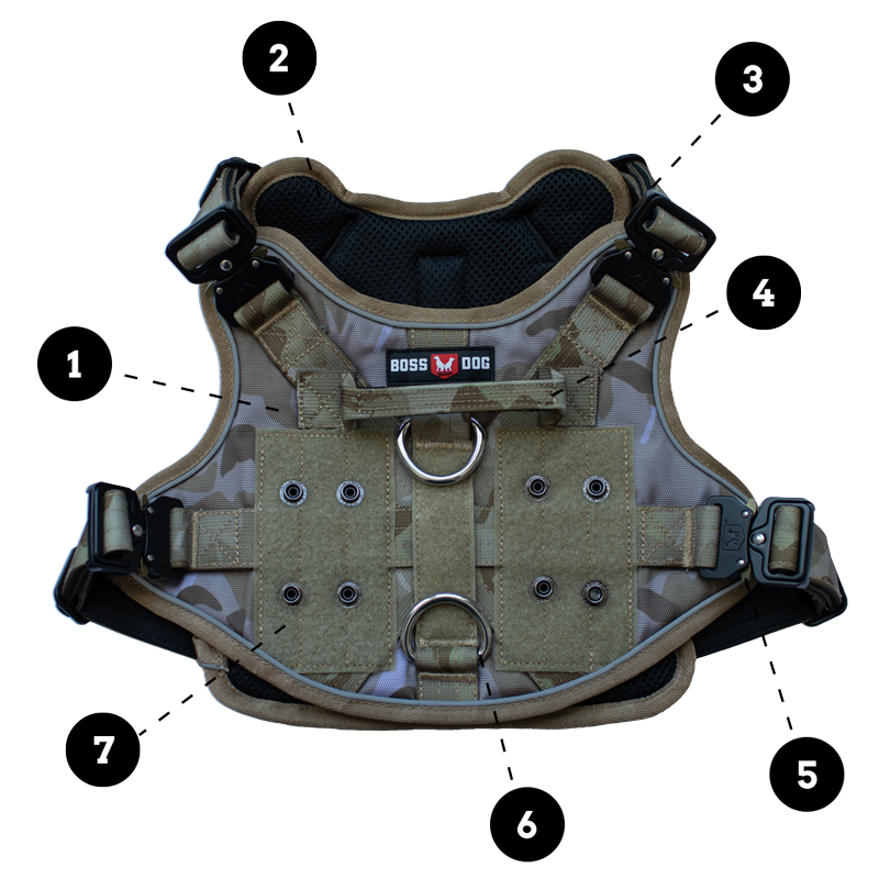 Unbreakable Harness image with numbered features