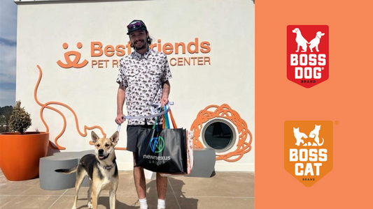 It Takes a Village: Making a Real Impact at Adoption Weekend