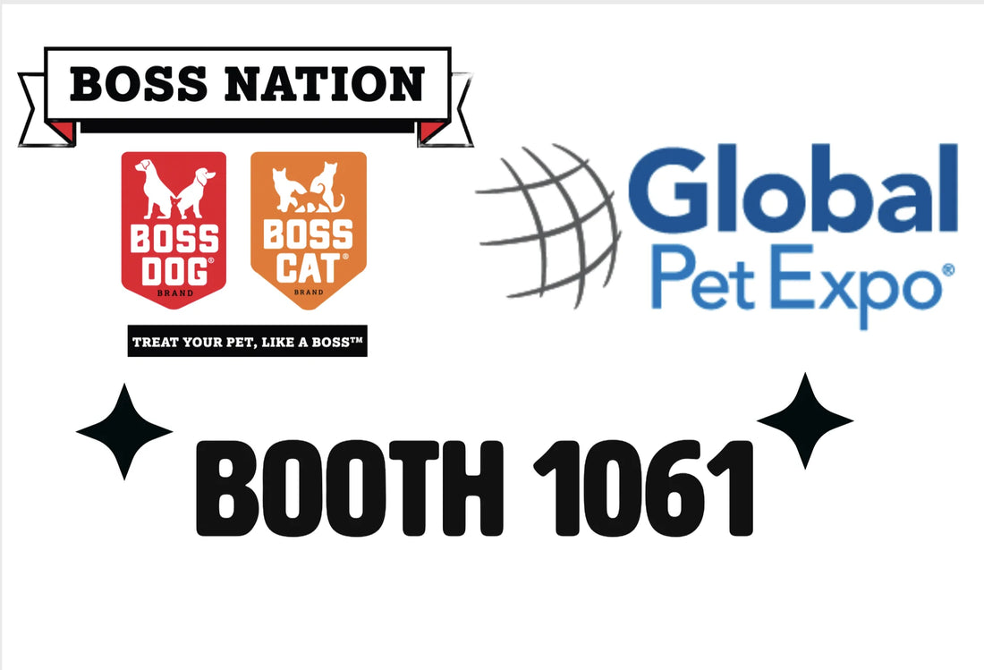 Boss Dog and Boss Cat Brands Showcase Innovative Gut Nutrition Products at  Global Pet Expo 2024 Booth 1061 All Day Entertainment