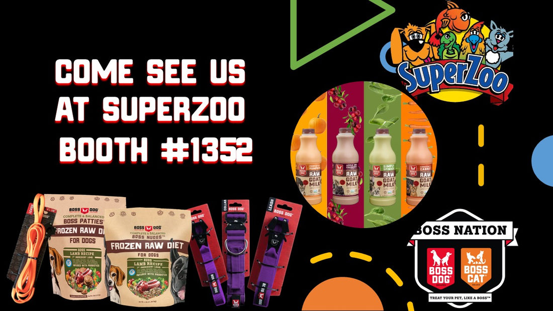 Boss Nation Brands showcases its innovative gut nutrition products at SuperZoo 2023 Check us out at Booth 1352 to see the company’s latest innovations!