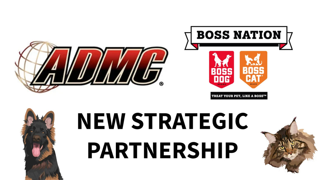 Boss Dog and Boss Cat Brands start a strategic alliance with ADMC