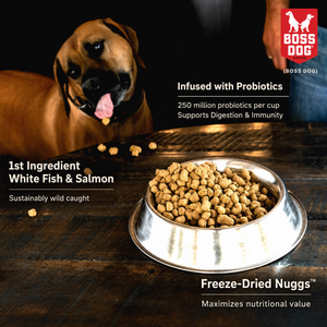 Freeze Dried Dog Food & Topper w/ Probiotics
