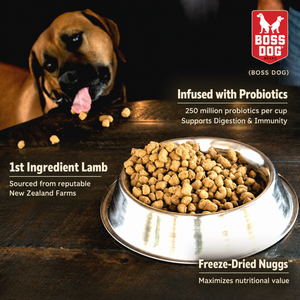 Freeze Dried Dog Food & Topper w/ Probiotics