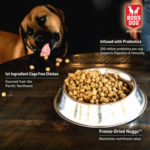 Freeze Dried Dog Food & Topper w/ Probiotics