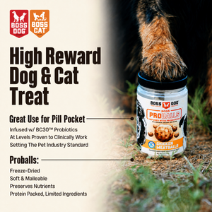 Proballs Treats w/ Probiotics