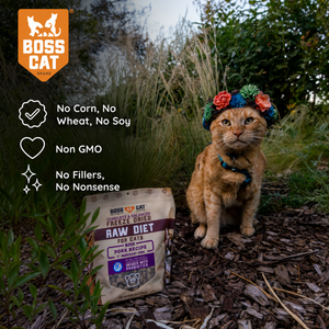 Freeze Dried Cat Food & Topper w/ Probiotics
