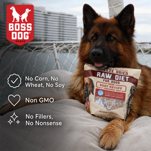 Freeze Dried Dog Food & Topper w/ Probiotics