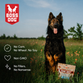 Freeze Dried Dog Food & Topper w/ Probiotics