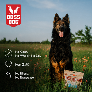 Freeze Dried Dog Food & Topper w/ Probiotics