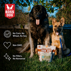 Freeze Dried Dog Food & Topper w/ Probiotics