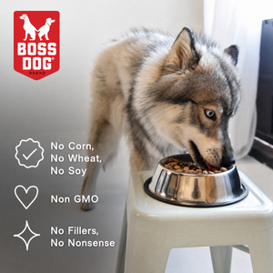 Freeze Dried Dog Food & Topper w/ Probiotics