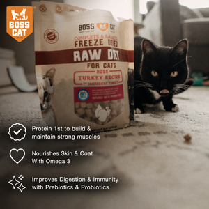 Freeze Dried Cat Food & Topper w/ Probiotics