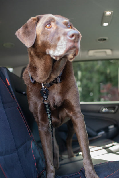 Boss Dog Seatbelt w/ Bungee for Car