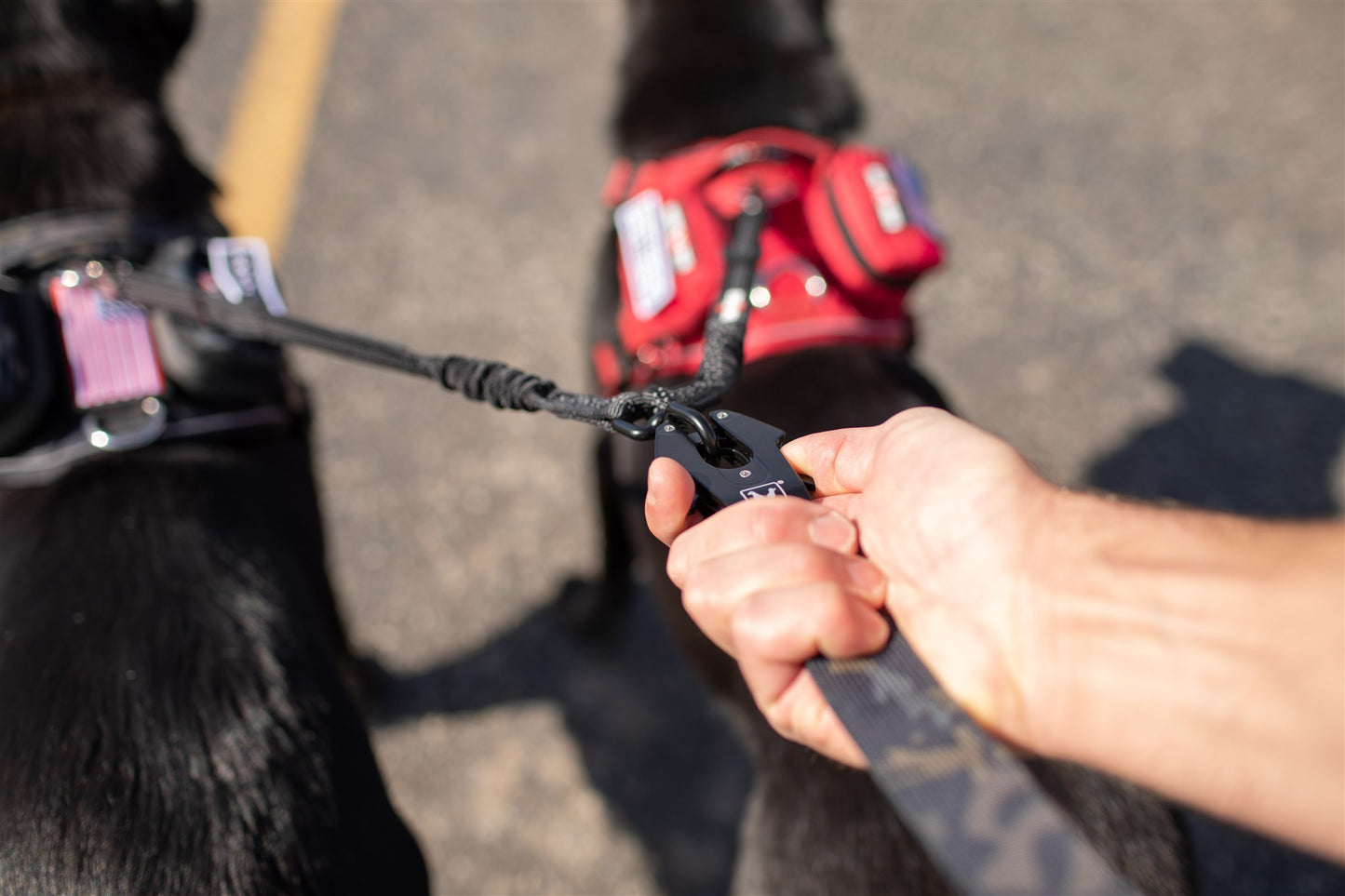 Boss Dog Tactical Coupler With Bungee