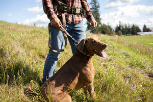 ProSeries™  Human Tactical Belt
