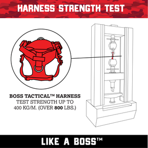 ProSeries™  Harness